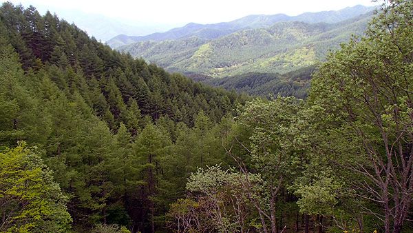 三国峠からの景色